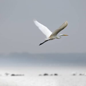 Drifting to Sleep Audio